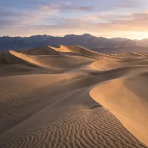Mesquite Flat Sand Dunes